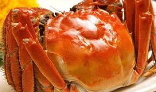 青蟹怎么做好吃又简单 青蟹怎么做好吃又简单