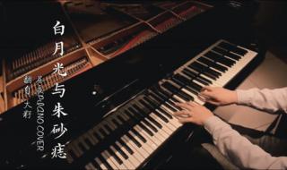 白月光与朱砂痣歌曲歌词 白月光与朱砂痣歌曲歌词