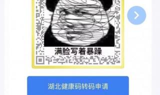 湖北健康码又有新变化! 湖北健康码又有新变化!