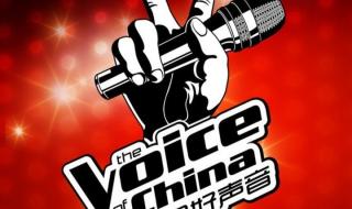 中国好声音13期完整版 中国好声音13期完整版