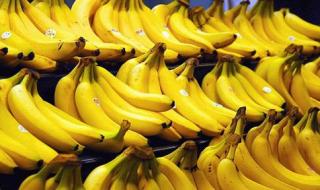 菲律宾香蕉对华出口锐减 菲律宾香蕉对华出口锐减