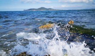 夏天去大连还是青岛好 夏天去大连还是青岛好