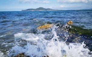 大连比青岛强吗 夏天去大连还是青岛好