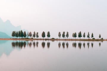 听风就是雨什么意思
