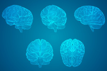教程辅助!“新导游大厅开挂辅助方法”其实确实有挂
